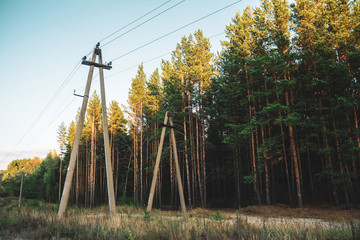 Power lines in glade along conifer trees in sunlight. Poles with wires near dirt road among tall...