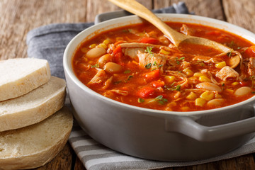 Brunswick stew is a popular dish in the south of America, made from meat with vegetables, spices and barbecue sauce close-up. horizontal