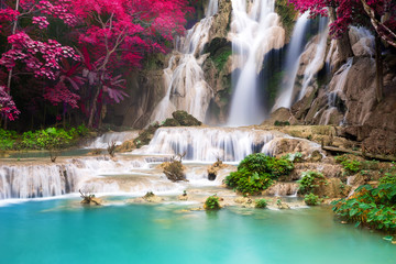 Turquoise water of Kuang Si waterfall, Luang Prabang. Laos