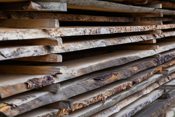 Pine logs are sawn on a sawmill and stacked.