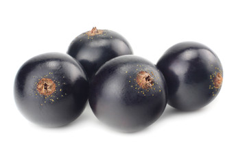 black currant isolated on white background. macro