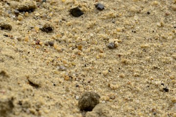 Речной песок макро