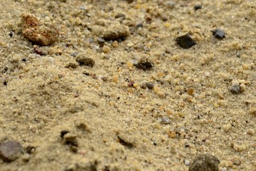Речной песок макро