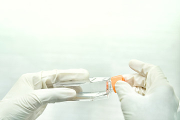 Closeup image of the woman researcher holds a cell culture flask for monolayers cells in the...