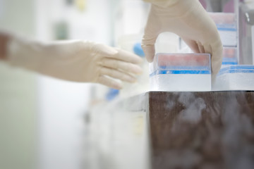 The Women reseacher working with Cryotube in the tube rack for cell culture storage keep at -80c to...