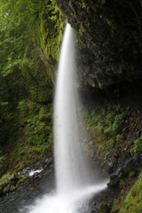 waterfall in the forest
