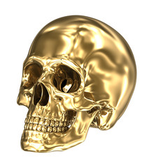 Golden human skull over white , 3D illustration