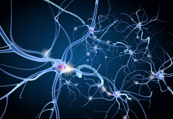 Nerve cell anatomy in details. 3D illustration - obrazy, fototapety, plakaty