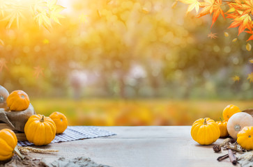 Thanksgiving background in autumn. Fall harvest cornucopia season