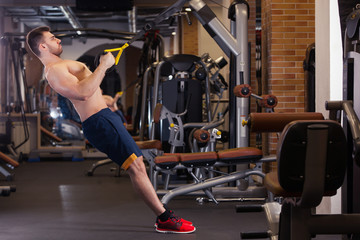 Obraz premium Attractive Man Does Crossfit Push Ups With Trx Fitness Straps In The Gym's Studio