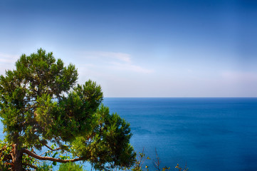 Fototapeta na wymiar Seascape, clear sky. Summer panorama, green vegetation. Calm sea.