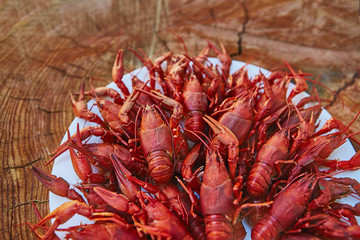 Crawfish cooked and served on wooden background
