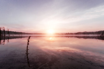 Beautiful, pink violet dawn over the lake. Fog over the lake, the rays of the sun, very dense fog, dawn, the blue sky over the lake, the morning comes, the forest reflects in the water.