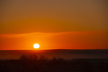 golden dawn on the horizon