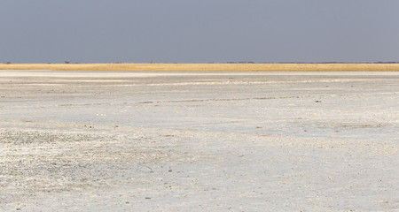 Makgadikgadi Pans National Park expansive landscape