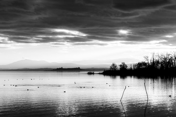 Beautiful view of Trasimeno lake at sunset with birds on water, trees and Castiglione del Lago town in the background