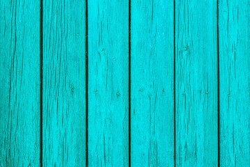 Obraz premium green wood background