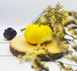 Festive season autumn yellow pumpkin Thanksgiving Background