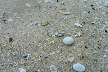 Sand background texture.