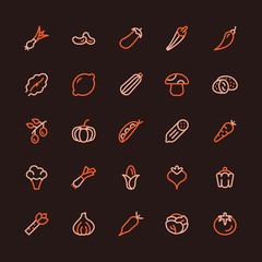 Vegetables Multicolored Line Icon Set