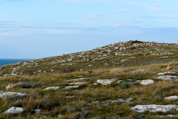 stone wasteland
