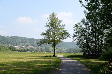 Radweg im Kochertal