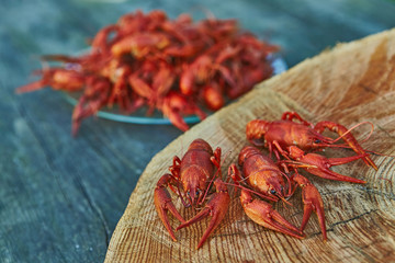 Crawfish cooked and served on wooden background