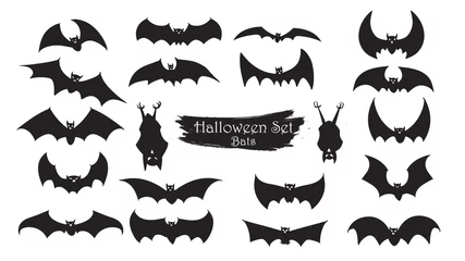 Foto auf Glas Spooky bats silhouette collection of Halloween vector isolated on white background. scary and creepy element © vavectors