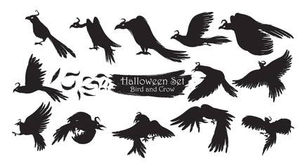 Spooky crow silhouette collection of Halloween vector isolated on white background. scary and creepy raven birds element