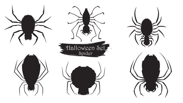 Spooky spider silhouette collection of Halloween vector isolated on white background. scary and creepy element icon character