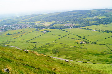 Fototapeta na wymiar Highland Hill View and Climbing Sheep