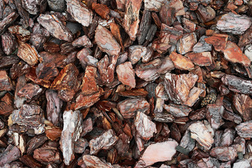 pieces of wood bark for background or texture