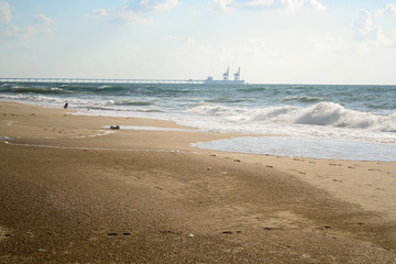 Plant, port on the coast, summer. Ashkelon israel