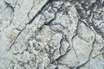 Stone grey texture 