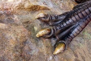 Giant Dinosaur Foot