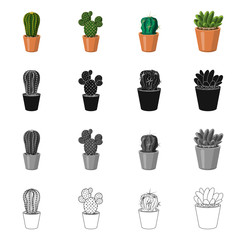 Vector design of cactus and pot logo. Collection of cactus and cacti vector icon for stock.
