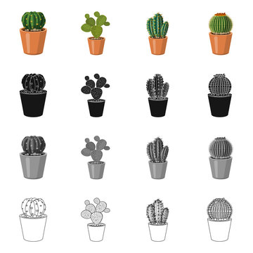 Isolated object of cactus and pot icon. Set of cactus and cacti stock vector illustration. © Svitlana