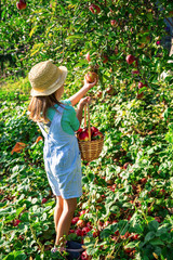 Child with an apple. Selective focus. Garden.