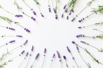 Flowers composition. Frame made of fresh lavender flowers on white background. Lavender, floral background. Flat lay, top view, copy space