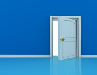 door concept