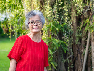 Portrait of elderly asian woman in the garden.