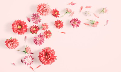 Flowers composition. Pattern made of fall flowers on light pastel pink background. Autumn concept. Flat lay, top view 
