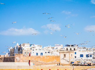 Obraz premium A large number of gulls in clear blue against the background of the city of Essaouira. View from the port