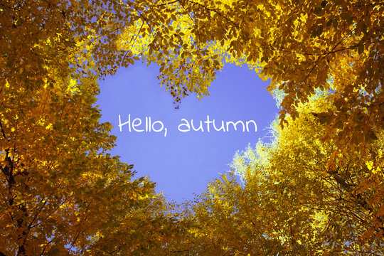 Heart from autumn leaves with blue sky on background