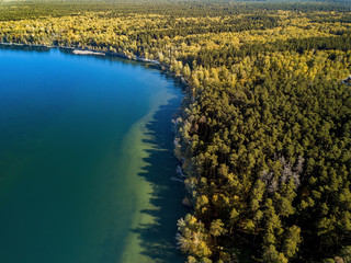 Aerial drone photo of green tree crones growing in lake shore, mixed autumn forest like a design pattern, top down view, countryside with tiny houses and piers on blue lake, privacy and tranquility
