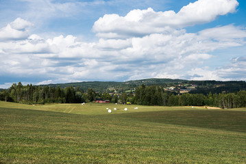 Fototapeta na wymiar scenic view of green agricultural field under cloudy sky, Hamar, Hedmark, Norway