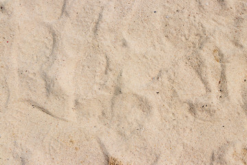 沖縄石垣島　ビーチの白い砂　南国イメージ