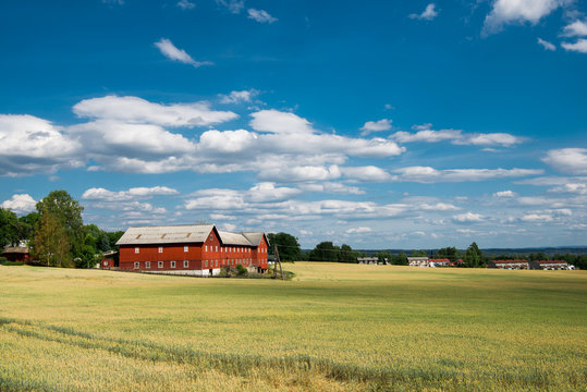 rural scene with field and houses under blue sky, Hamar, Hedmark, Norway