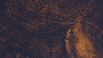 wood background texture, abstract, brown wood background