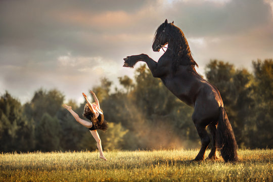 Little ballerina girl with black friesian stallion 
